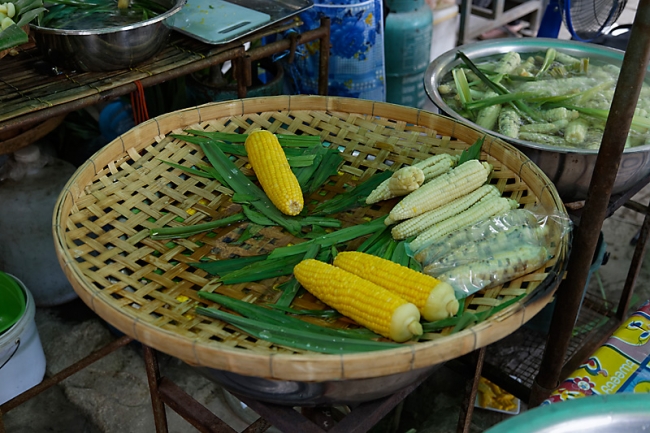 Talin chan-NOV13-066